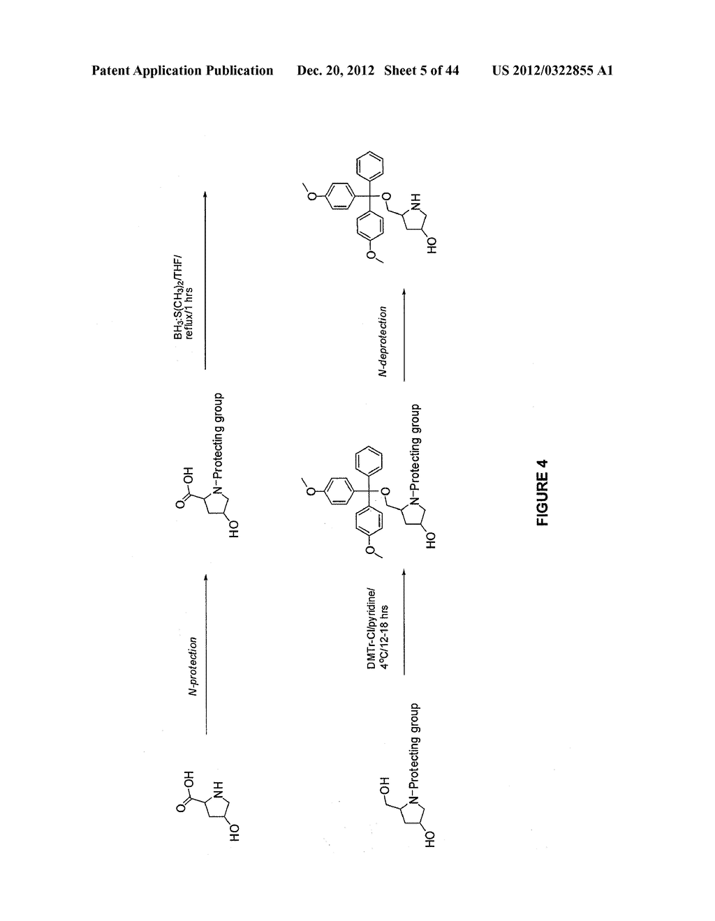 Duplex Oligonucleotide Complexes and Methods for Gene Silencing by RNA     Interference - diagram, schematic, and image 06