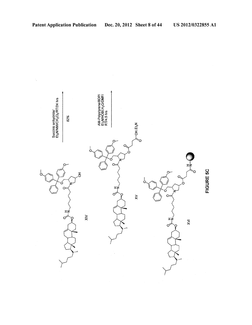 Duplex Oligonucleotide Complexes and Methods for Gene Silencing by RNA     Interference - diagram, schematic, and image 09