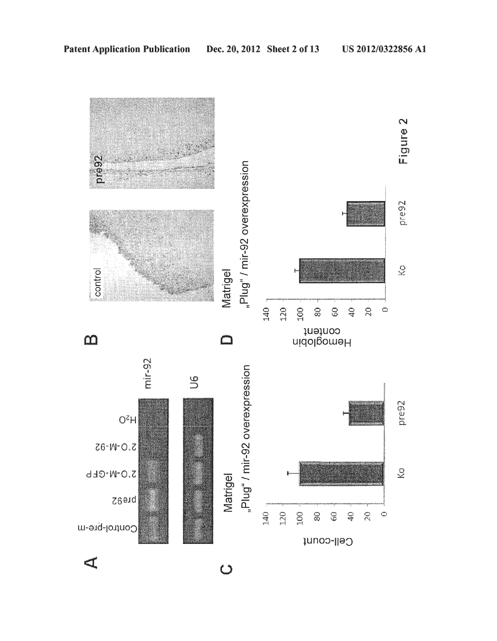 Method for Promoting  Angiogenesis,  Vascularization, or Vessel Repair or     for the Inhibiting Tumor Angiogenesis - diagram, schematic, and image 03