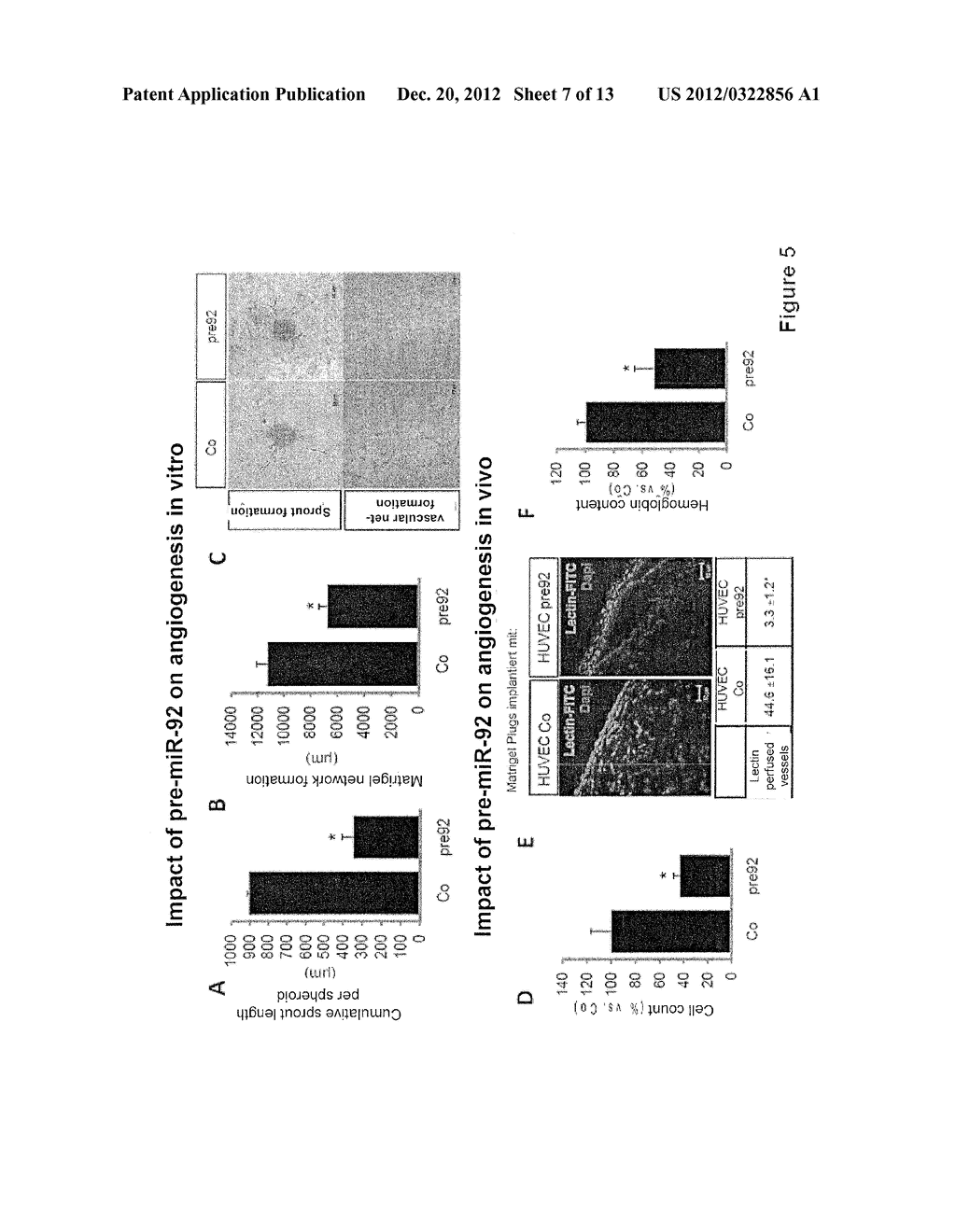 Method for Promoting  Angiogenesis,  Vascularization, or Vessel Repair or     for the Inhibiting Tumor Angiogenesis - diagram, schematic, and image 08