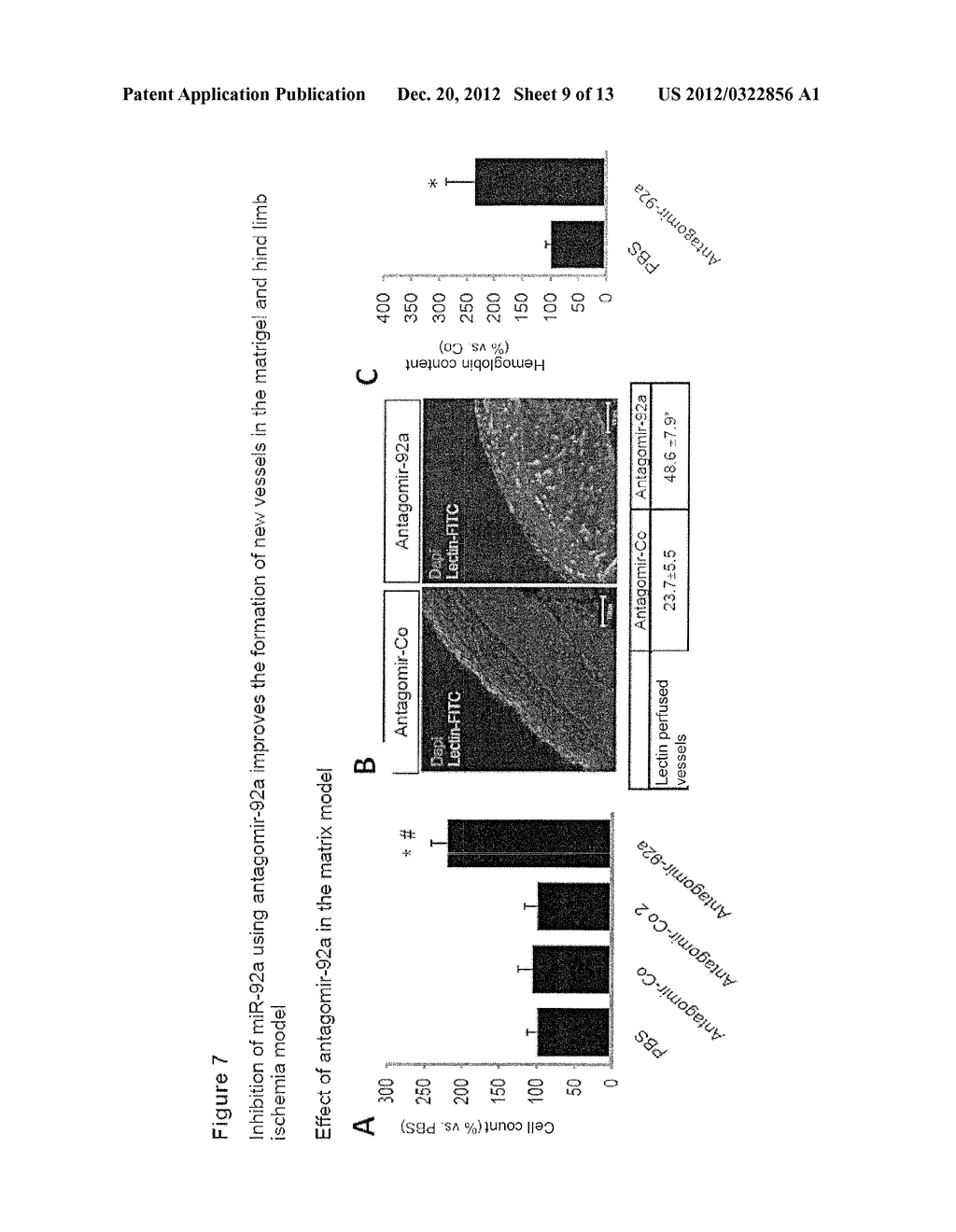 Method for Promoting  Angiogenesis,  Vascularization, or Vessel Repair or     for the Inhibiting Tumor Angiogenesis - diagram, schematic, and image 10