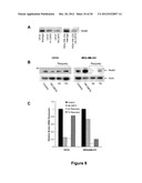 METHODS OF INHIBITING TUMOR CELL AGGRESSIVENESS USING THE MICROENVIRONMENT     OF HUMAN EMBRYONIC STEM CELLS diagram and image