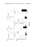 METHODS OF INHIBITING TUMOR CELL AGGRESSIVENESS USING THE MICROENVIRONMENT     OF HUMAN EMBRYONIC STEM CELLS diagram and image