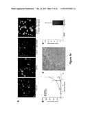 METHODS OF INHIBITING TUMOR CELL AGGRESSIVENESS USING THE MICROENVIRONMENT     OF HUMAN EMBRYONIC STEM CELLS diagram and image