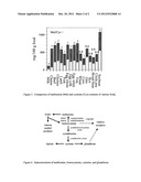 FOOD PRODUCTS, PREPARATION, AND THERAPEUTIC METHODS diagram and image