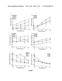 BIODEGRADABLE POLYMERIC NETWORKS AND METHODS FOR MANUFACTURING THE SAME diagram and image