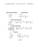 BIODEGRADABLE POLYMERIC NETWORKS AND METHODS FOR MANUFACTURING THE SAME diagram and image