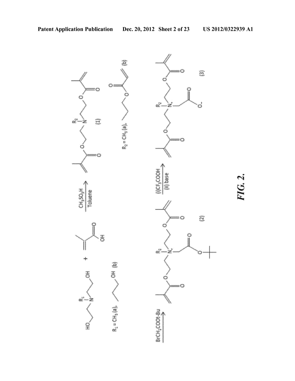 CROSSLINKED ZWITTERIONIC HYDROGELS - diagram, schematic, and image 03