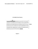 Method of producing recombinant TAT-HOXB4H protein for use as a stimulant     of hematopoiesis in vivo diagram and image