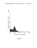 Method of producing recombinant TAT-HOXB4H protein for use as a stimulant     of hematopoiesis in vivo diagram and image