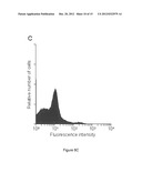 Method of producing recombinant TAT-HOXB4H protein for use as a stimulant     of hematopoiesis in vivo diagram and image