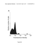 Method of producing recombinant TAT-HOXB4H protein for use as a stimulant     of hematopoiesis in vivo diagram and image