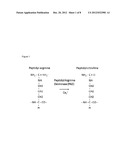 CITRULLINATION-SPECIFIC PHAGE DISPLAY diagram and image