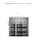 METHOD FOR PURIFYING PROTEIN diagram and image