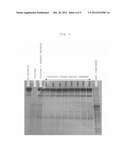 METHOD FOR PURIFYING PROTEIN diagram and image