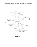 COMPOSITIONS AND METHODS FOR MODULATING LYMPHOCYTE ACTIVITY diagram and image