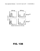 COMPOSITIONS AND METHODS FOR MODULATING LYMPHOCYTE ACTIVITY diagram and image