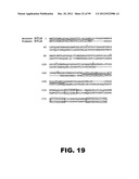 COMPOSITIONS AND METHODS FOR MODULATING LYMPHOCYTE ACTIVITY diagram and image