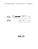 COMPOSITIONS AND METHODS FOR MODULATING LYMPHOCYTE ACTIVITY diagram and image