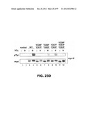 COMPOSITIONS AND METHODS FOR MODULATING LYMPHOCYTE ACTIVITY diagram and image