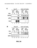 COMPOSITIONS AND METHODS FOR MODULATING LYMPHOCYTE ACTIVITY diagram and image