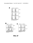 COMPOSITIONS AND METHODS FOR MODULATING LYMPHOCYTE ACTIVITY diagram and image