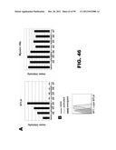 COMPOSITIONS AND METHODS FOR MODULATING LYMPHOCYTE ACTIVITY diagram and image