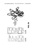 COMPOSITIONS AND METHODS FOR MODULATING LYMPHOCYTE ACTIVITY diagram and image