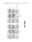 COMPOSITIONS AND METHODS FOR MODULATING LYMPHOCYTE ACTIVITY diagram and image