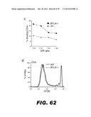 COMPOSITIONS AND METHODS FOR MODULATING LYMPHOCYTE ACTIVITY diagram and image