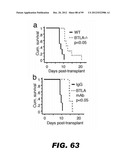 COMPOSITIONS AND METHODS FOR MODULATING LYMPHOCYTE ACTIVITY diagram and image