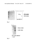 COMPOSITION FOR REPRESSION OF HYPERLIPIDEMIA AND OBESITY THROUGH     SUPPRESSION OF INTESTINAL CHOLESTEROL ABSORPTION diagram and image