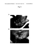 THERAPEUTIC AGENT FOR USE IN A METHOD OF TREATING PSORIASIS OR ATOPIC     DERMATITIS diagram and image