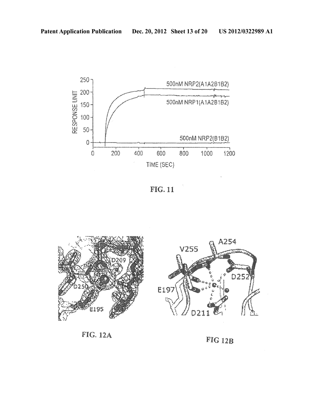 CRYSTAL STRUCTURES OF NEUROPILIN FRAGMENTS AND NEUROPILIN-ANTIBODY     COMPLEXES - diagram, schematic, and image 14