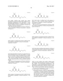 Process For The Preparation Of Amide Intermediates And Their Use Thereof diagram and image