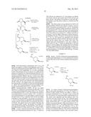 PROCESSES FOR PREPARING HETEROCYCLIC COMPOUNDS INCLUDING     TRANS-7-OXO-6-(SULPHOOXY)-1,6-DIAZABICYCLO[3,2,1]OCTANE-2-CARBOXAMIDE AND     SALTS THEREOF diagram and image