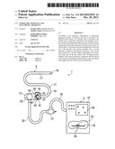 ENDOSCOPE APPARATUS AND ELECTRONIC APPARATUS diagram and image