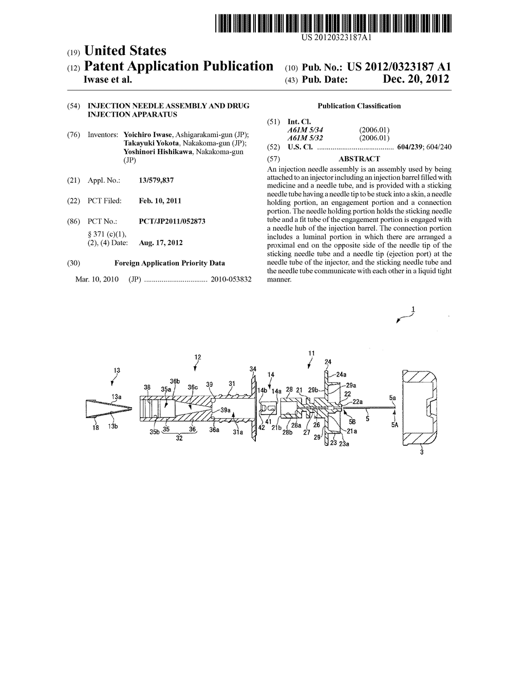 INJECTION NEEDLE ASSEMBLY AND DRUG INJECTION APPARATUS - diagram, schematic, and image 01