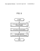 BRAIN COOLING APPARATUS AND BRAIN COOLING DEVICE SUITABLE THERETO diagram and image