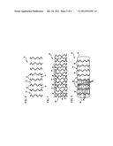 HYBRID STENT diagram and image