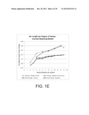 FEMORAL COMPONENT FOR A KNEE PROSTHESIS WITH IMPROVED ARTICULAR     CHARACTERISTICS diagram and image