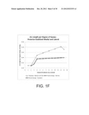 FEMORAL COMPONENT FOR A KNEE PROSTHESIS WITH IMPROVED ARTICULAR     CHARACTERISTICS diagram and image