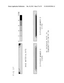 MAGNETIC FORCE CHARACTERISTIC COMPUTING METHOD, MAGNETIC FORCE     CHARACTERISTIC COMPUTING DEVICE AND COMPUTER PROGRAM diagram and image