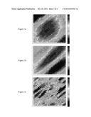 RESERVOIR CALIBRATION PARAMETERIZATION METHOD diagram and image