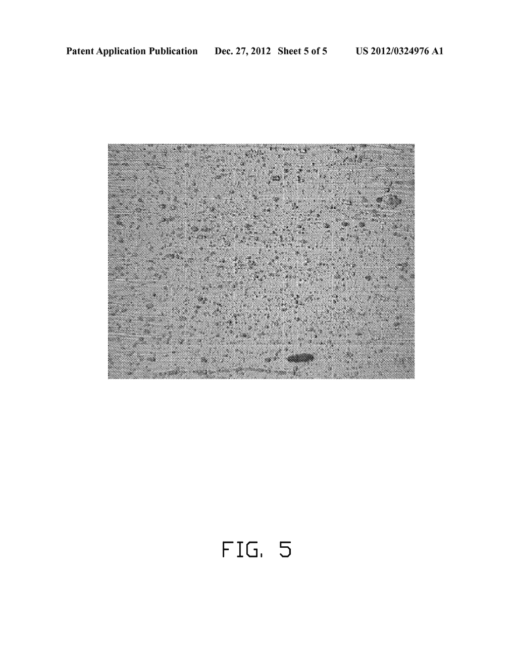 METHOD OF FORGING ALUMINUM/ALUMINUM ALLOYS - diagram, schematic, and image 06