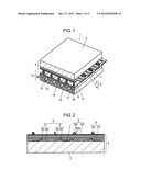 PLASMA DISPLAY PANEL diagram and image