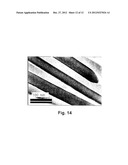 ELECTRONIC DEVICES INCLUDING TRANSPARENT CONDUCTIVE COATINGS INCLUDING     CARBON NANOTUBES AND NANOWIRE COMPOSITES, AND METHODS OF MAKING THE SAME diagram and image