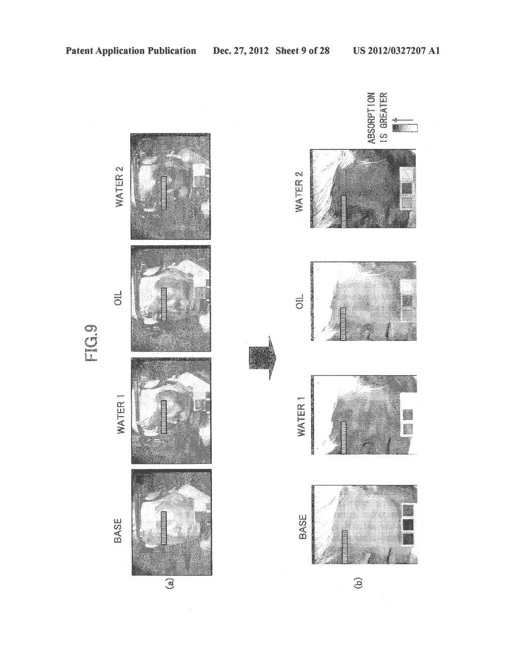 LIGHTING DEVICE, IMAGE ANALYSIS DEVICE, IMAGE ANALYSIS METHOD, AND     EVALUATION METHOD - diagram, schematic, and image 10