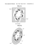 DIAGNOSTIC INFORMATION DISTRIBUTION DEVICE AND PATHOLOGY DIAGNOSIS SYSTEM diagram and image