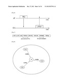 METHOD FOR TRANSMITTING SOUNDING SIGNAL IN WIRELESS COMMUNICATION SYSTEM diagram and image